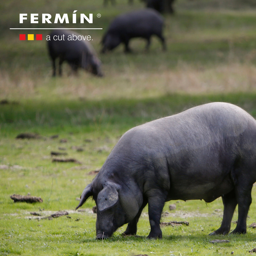 Fermín Bone-In Jamón Ibérico Ham