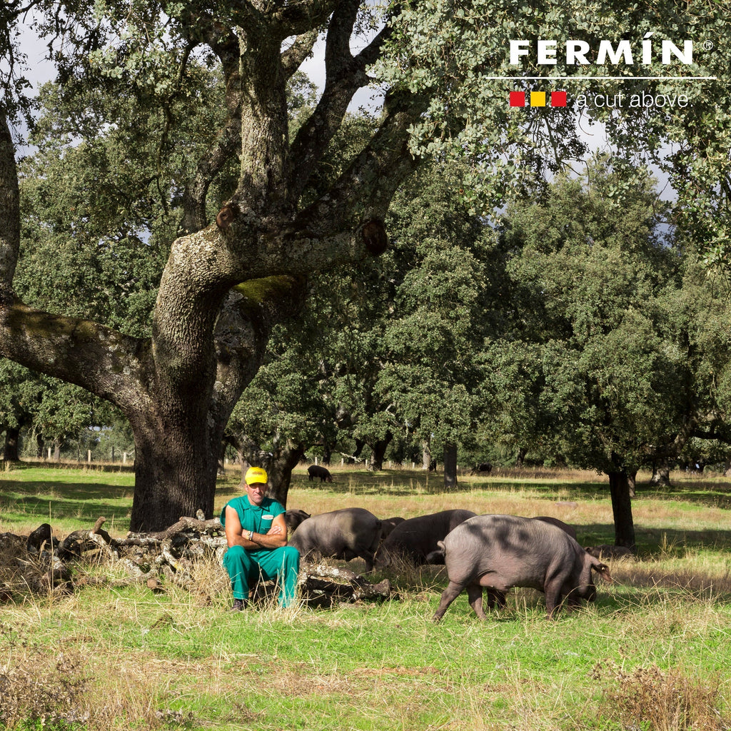 Fermín Bone-In Jamón Ibérico Ham
